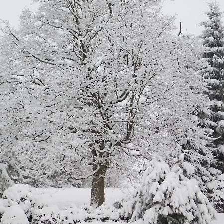 Chata u lesa Vyprachtice Bagian luar foto